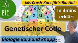 Genetischer Code erklärt in nur 3 Minuten  Biologie kurz und knapp  Ixis Crash Kurs fürs BioAbi [upl. by Haimorej]