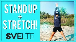 Standing Stretch Routine  Quick Stretching Exercises At Home [upl. by Montana]