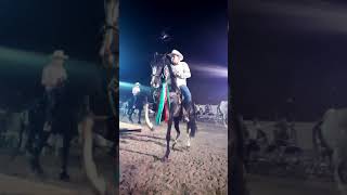 🤠 Caballo bailador de la Cuadra San Román [upl. by Ahsatan107]