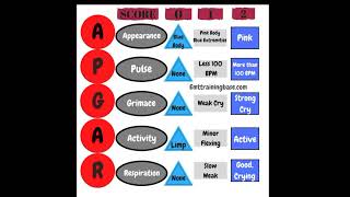 समझे APGAR SCORE हिंदी मेंAPGAR Score ANMNursinglets study by Sandhyanursing [upl. by Traggat]