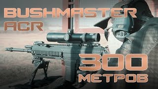 Стрельба из Bushmaster ACR на 300 метров [upl. by Hakaber]