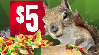 Quiznos Singimals  Starring Squirrels [upl. by Anallese899]