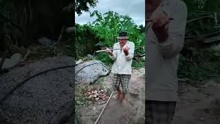 Buscando agua con ramaFUERZA DE LA RADIESTESIA shors pozo agua fypシ゚viral [upl. by Name]