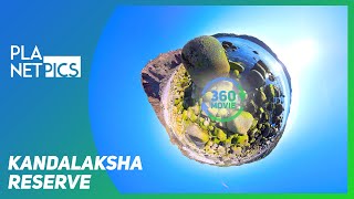 VR 360  Kandalaksha Reserve [upl. by Narual]