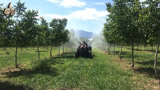 Chandler Ceviz İç kurdu İlaçlaması Yaptık  New Holland TD4B 90 4WD – AGROTEK [upl. by Burroughs583]