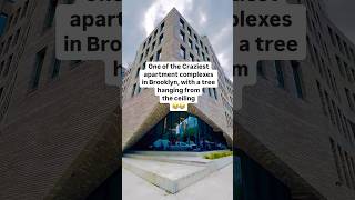 Brooklyn complexes gone wild 😂 realestate brooklyn apartment apartmenttour nyc [upl. by Oal240]