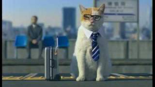 Cute Japanese Kitty Cat Commercial Jalan [upl. by Tiedeman]