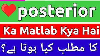 Posterior Meaning In Urdu  Posterior Meaning  Posterior Ka Matlab Kya Hota Hai  Posterior Ka [upl. by Aikas169]