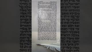 Baruch Hashem My eighth Torah torah [upl. by Tuppeny]