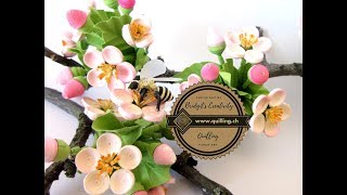 Quilling flowers Apple blossom  Part 1 Tutorial [upl. by Elokyn]