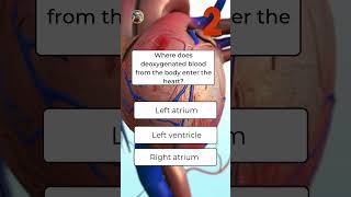 🫀 Heart Quiz for Year 10  Test Your Biology Knowledge ❤️ [upl. by Adiuqal]