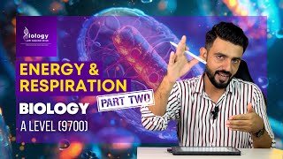 Energy amp Respiration  A level Biology 9700 Part II [upl. by Inaboy]