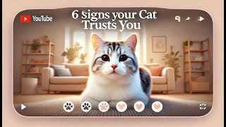 6 Signs Your Cat Trusts You [upl. by Yecad403]