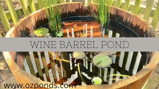 Wine Barrel Pond No Pump [upl. by Ydnat]