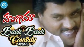 Hungama Movie Back to Back Comedy Scenes  Ali Venu Madhav Sunil  S V Krishna Reddy [upl. by Nicki]