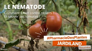 Lutter contre les nématodes  Pharmacie des plantes [upl. by Korie]