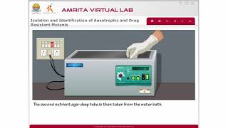 Isolation and Identification of Auxotrophic and Drug Resistant Mutants [upl. by Sephira476]