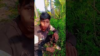 ￼ school kya hai🤣😂 satyarox satyarox494 realfools funny funnyvideo shorts ￼ [upl. by Ibbed380]