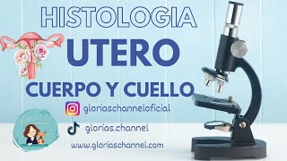 Histología para medicina cuerpo y cuello uterino [upl. by Doug261]