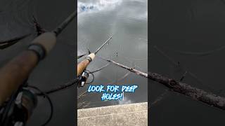 HOW TO FIND Catfish In A Lake 🎣 shorts fishing [upl. by Yenahc]