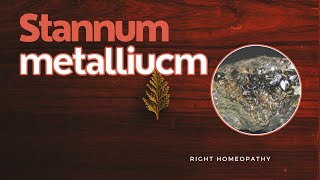 Stannum metallicum  HERF  Right Homeopathy [upl. by Lind]