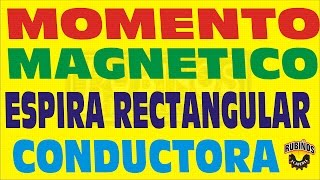 MOMENTO MAGNETICO EN UNA ESPIRA RECTANGULAR CONDUCTORA ELECTROMAGNETISMO EJERCICIO RESUELTO [upl. by Yllitnahc]