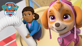 Katie mène la Pat Patrouille à la rescousse de Mme Goodway PAW Patrol dessins animés pour enfants [upl. by Larret]