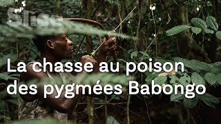 Le DERNIER REFUGE des pygmées Babongo  SLICE [upl. by Nonah]