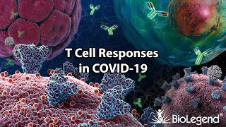 T cell Responses in COVID19 [upl. by Danas114]