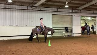 Nutrena Ride the Pattern Clinic Horsemanship [upl. by Enneira426]