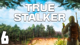 STALKER True Stalker 6 Свалка [upl. by Eirene]