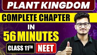 PLANT KINGDOM in 56 Minutes  Full Chapter Revision  Class 11 NEET [upl. by Perrine415]