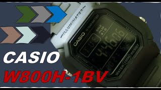 Casio W800H1BV Watch Overview [upl. by Ialocin]