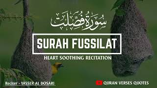 HEART SOOTHING RECITATION  Surah Fussilat Yasser Al Dosari Recitation  Quran Verses Quotes [upl. by Grider]