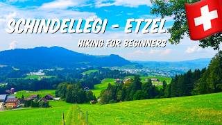 🐮 Switzerland Hiking for beginners  Wander from Schindellegi to Etzel Kulm 4k 🇨🇭 [upl. by Nacul]