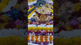 🙏श्री श्याम प्रभु जी के आज प्रातः के मनमोहक श्रंगार दर्शन🙏 khatubhajans khatudarshan shortsvideo [upl. by Jamieson]