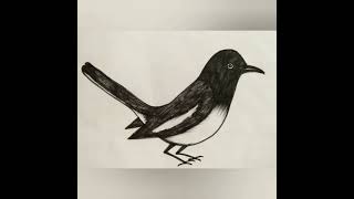 how to draw magpie bird with sketch pen  doyel pakhi drawing short [upl. by Kai]