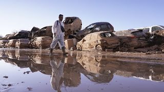 COP 29 Европейские регионы призывают больше инвестировать в адаптацию к изменению климата … [upl. by Ardie]