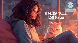 o mera deel trending song lofi SaregamaMusic Lofimunda20 youtube [upl. by Ahseei]