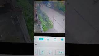 mosquito fogging machine caughtoncameravideos views [upl. by Bausch49]