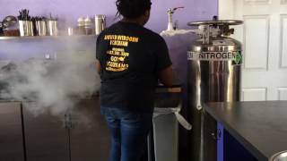 LIQUID NITROGEN ICE CREAM Abracadabra Ice Cream Factory Kissimmee Florida [upl. by Maressa]