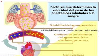 2 ANESTESICOS INHALATORIOS [upl. by Julissa]
