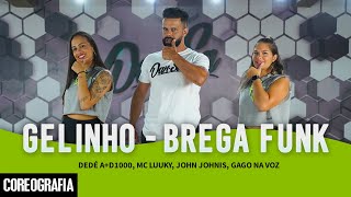 GELINHO  BREGA FUNK  Dedé AD1000 Mc Luuky John Johnis Gago Na Voz  DanSa Coreografia [upl. by Feliks]