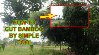 Simple material for bamboo maintenance  country life show Simple Living [upl. by Corder]