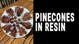 Pinecones in resin [upl. by Eecyal253]