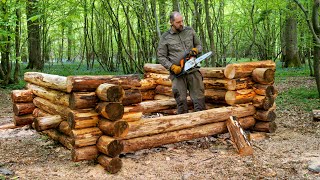 Solo Bushcraft Shelter Build in the Woods  Adirondack [upl. by Nine]