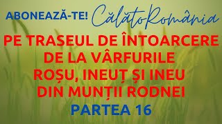 Pe traseul de întoarcere de la Vârful Roșu Ineuț și Ineu Munții Rodnei  partea 16 CălătoRomânia [upl. by Intihw]