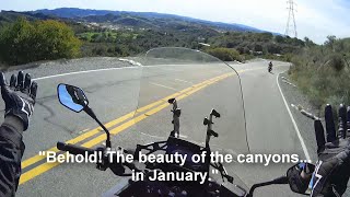 Behold The Beauty of the Canyons in January [upl. by Clementine]