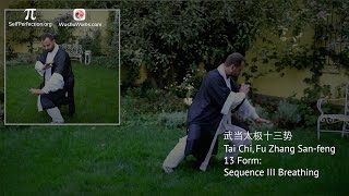 Tai Chi Fu Zhang Sanfeng 13 Form Sequence III Breathing [upl. by Suryt743]