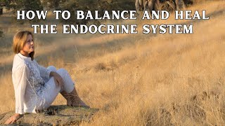 How to Balance and Heal the Endocrine System  Body Health Calibrating Timing and Harmonization [upl. by Evalyn261]